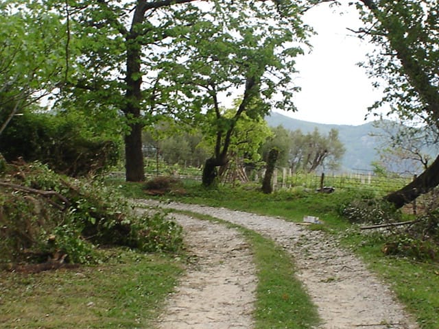 Schotterweg zum Grundstück in Herceg Novi, Montenegro, zwischen Bäumen und Berglandschaft.