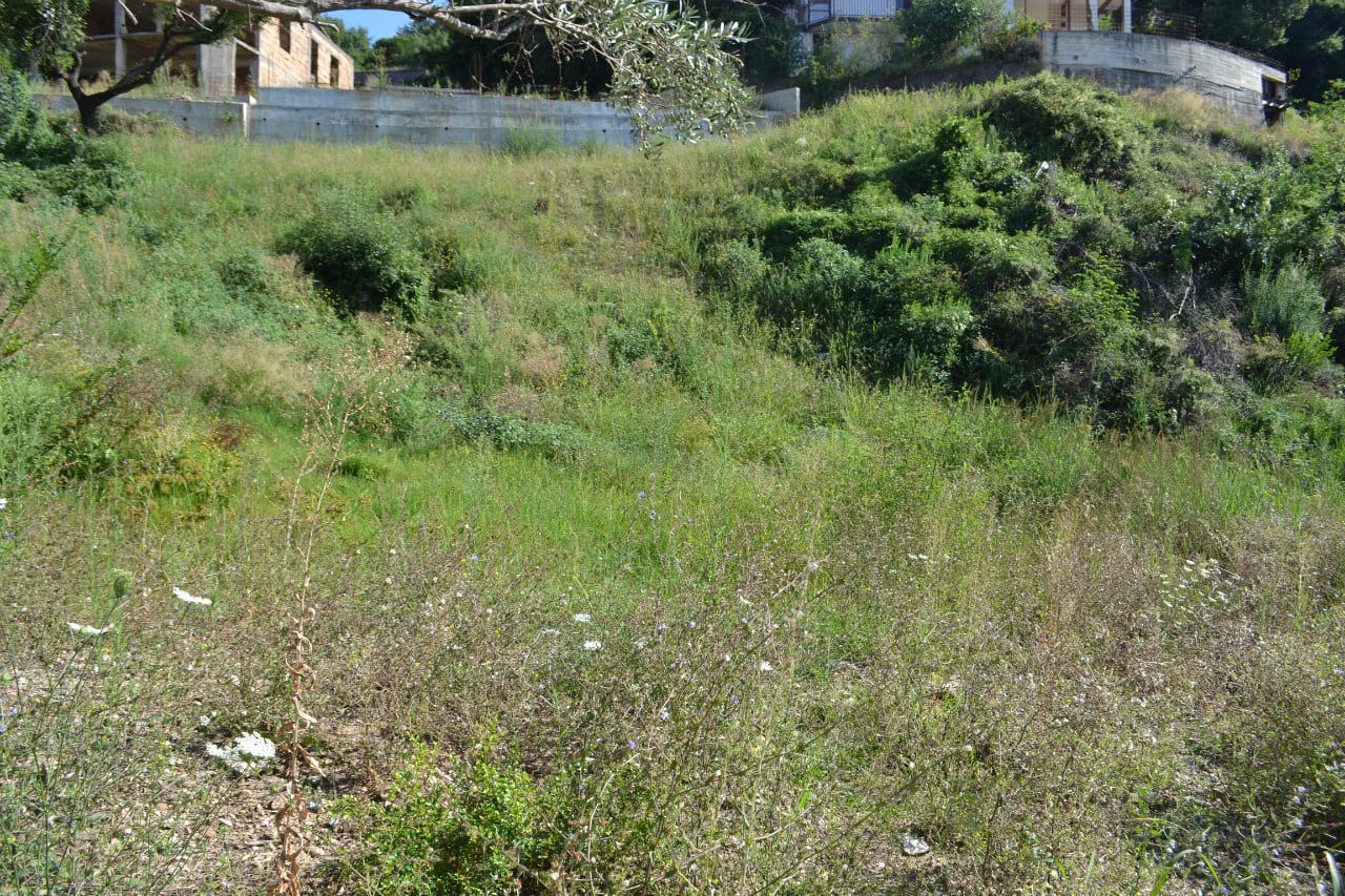 Baugrundstück in Herceg Novi, Montenegro: sanfter Hang mit grüner Vegetation und Blick auf die Hügel.