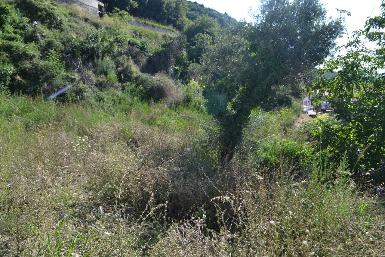 Baugrundstück in Herceg Novi, Montenegro: Blick auf hügeliges Gelände mit Bäumen und Grün.