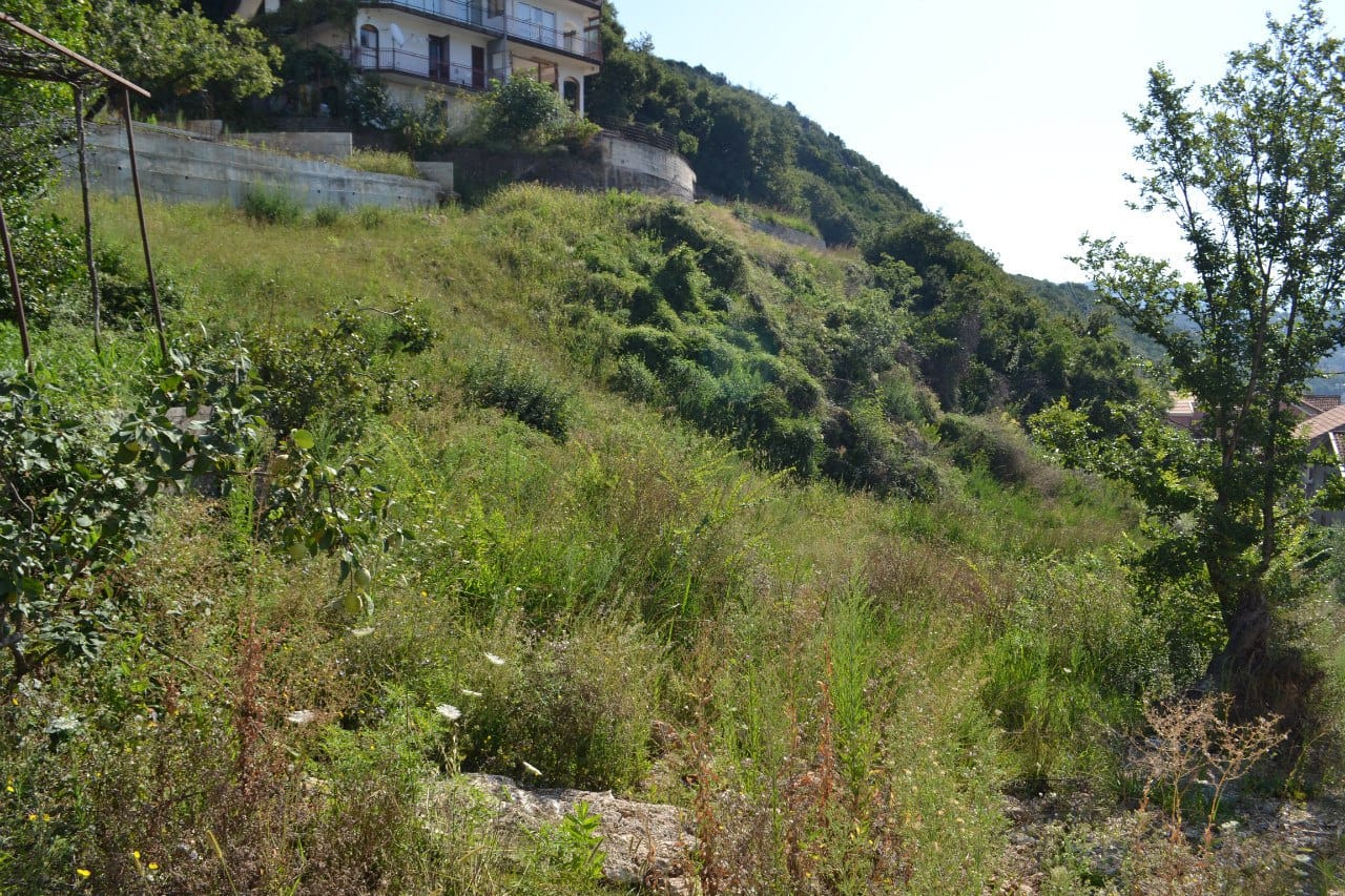 Baugrundstück am Hang in Herceg Novi, Montenegro, mit Panoramablick auf Grün und Berge.