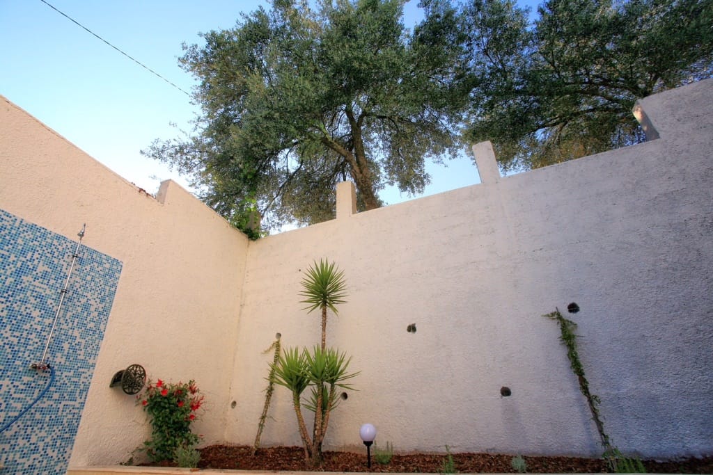 Cozy villa courtyard in Herceg Novi, Montenegro: outdoor shower, decorative plants, and olive trees.
