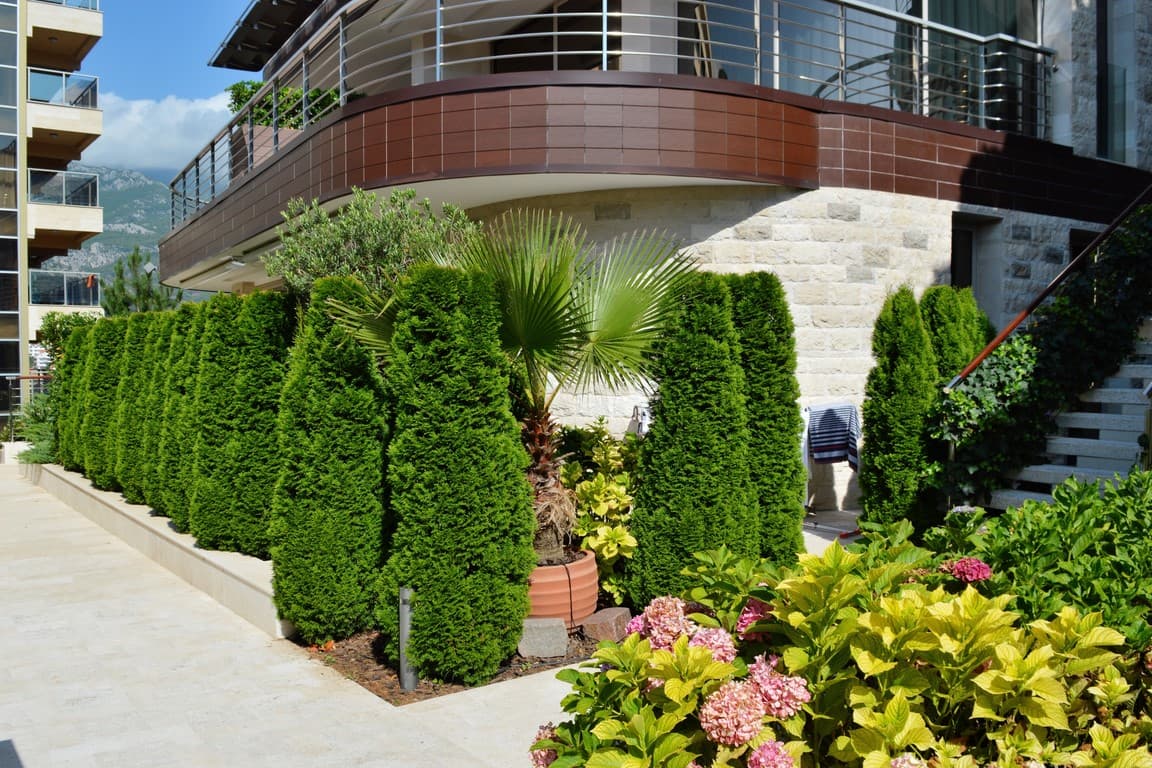 Квартира в Будве №1411