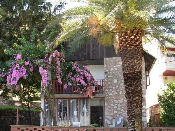 Facade of a house in Stoliv, Montenegro: stone finish, terrace with a garden view, palm tree, and blooming bougainvillea at the entrance.