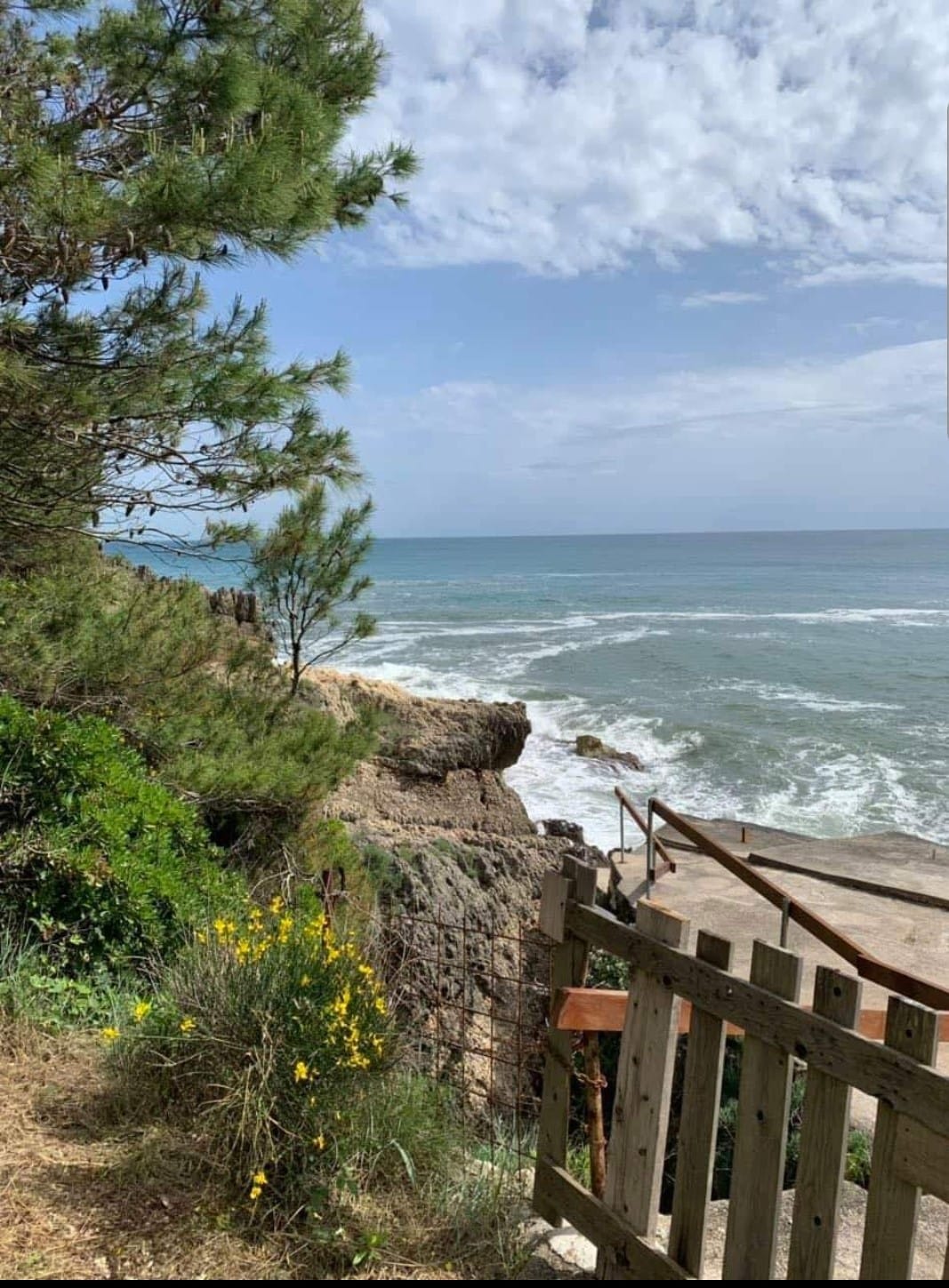 Blick auf das Meer und die Felsküste von einem Grundstück in Ulcinj, Montenegro: Zugang zum Wasser, Pinien und ein Holzzaun.