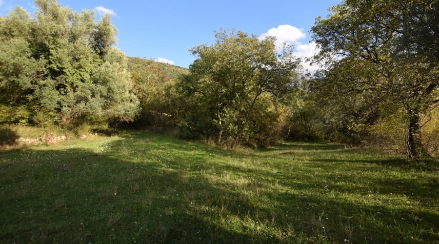 Kavač'ta Arsa №1161