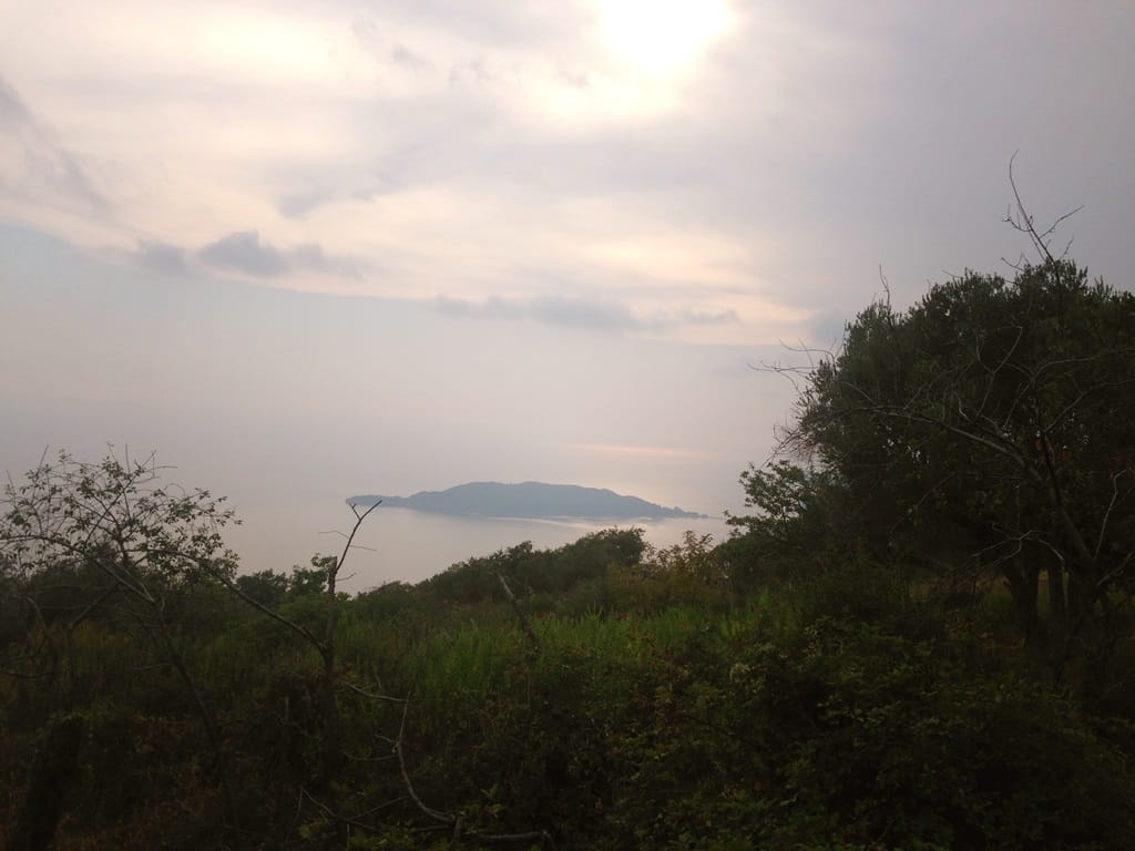 Панорамный вид на остров Святого Николая и море с земельного участка в Куляче, Будванская Ривьера, Черногория.