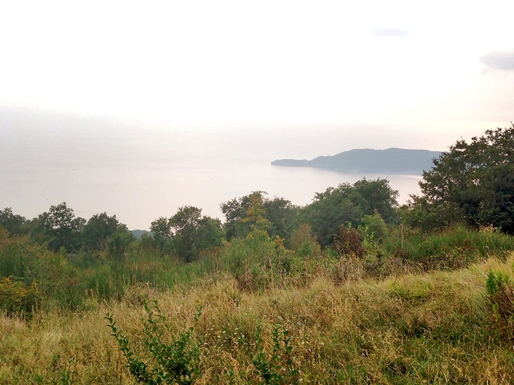 Панорамный вид на море и горы с земельного участка в Куляче, Будванская Ривьера, Черногория.