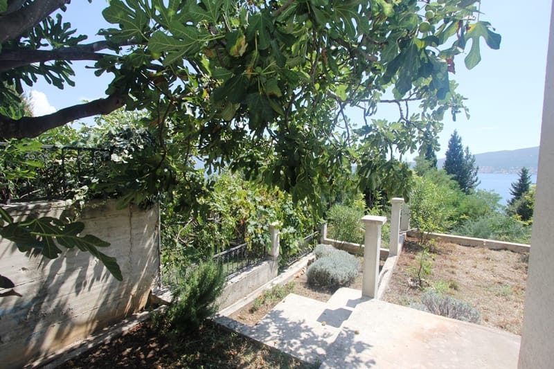 House terrace in Baošići, Montenegro: sea view, fig tree, and a well-kept plot with stone steps.