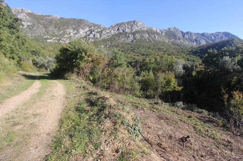 Land plot in Sveti Stefan, Montenegro: panoramic view of the mountains, forested area, and dirt access road.