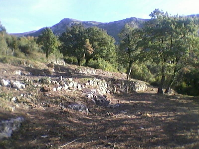 Land for sale in Sveti Stefan, Montenegro: hilly landscape with trees and mountain views.