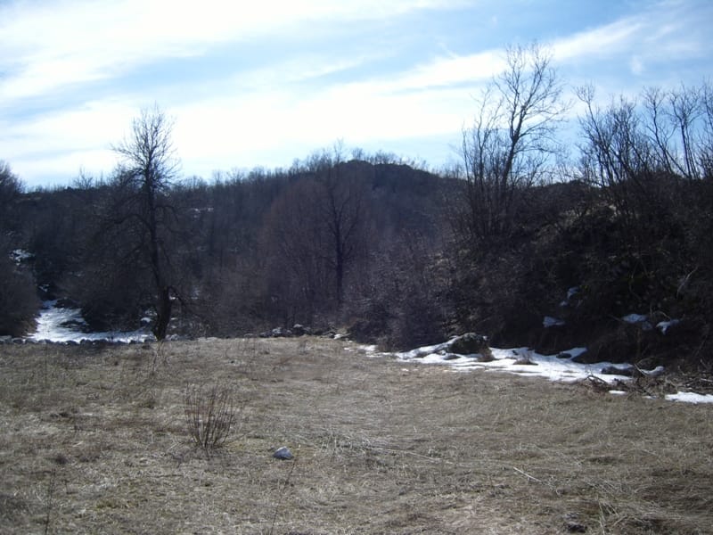 Land plot in Cetinje, Montenegro: panoramic mountain landscape with dry grass, trees, and patches of snow.