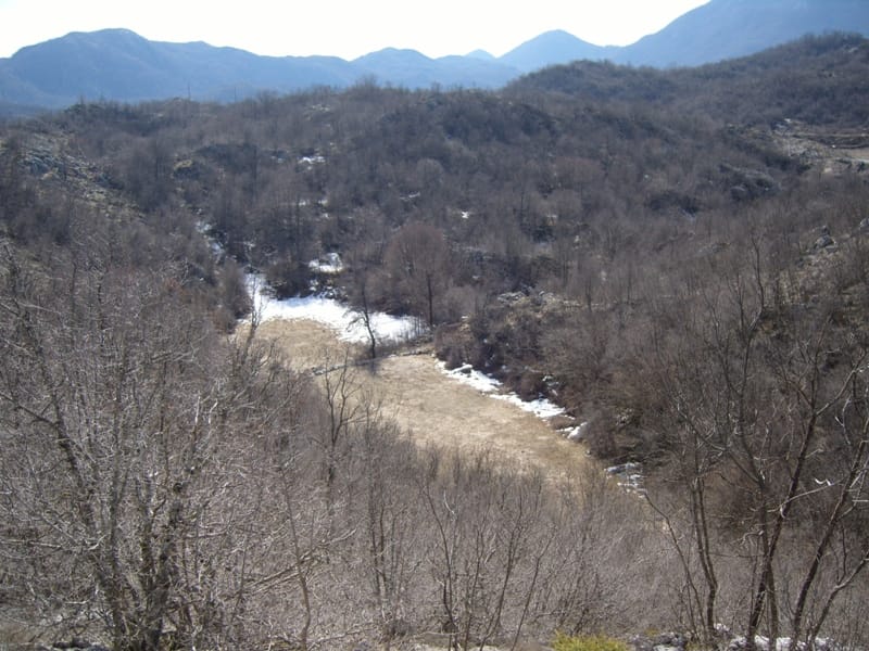 Land plot in the mountains of Cetinje, Montenegro: panoramic view of the wooded area with remnants of snow on the slopes.