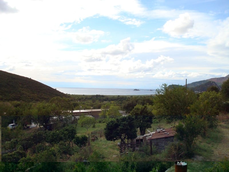 Panoramiczny widok na morze i góry z działki w Buljaricy, Czarnogóra: zielony ogród, pagórkowaty krajobraz i zabudowania.