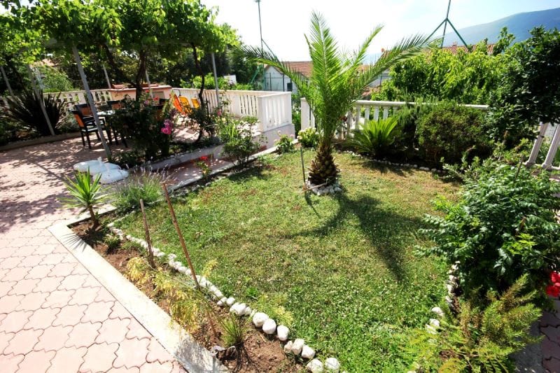 Cozy green garden with a palm tree and terrace by the house in Đenovići, Montenegro: a relaxation area with furniture and a vineyard.
