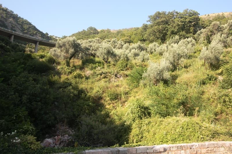 Участок в Петроваце №790