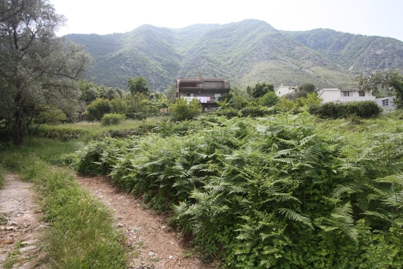 Земельный участок в Прчани, Черногория: вид на горы, зеленую территорию и подъездную дорогу к частному дому.