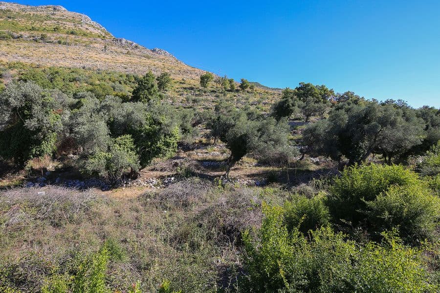 Земельный участок в Режевичи №681