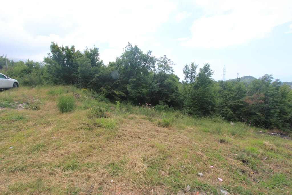 Land plot for construction in Markovichi, Montenegro: panoramic view of a green hill and forested area.