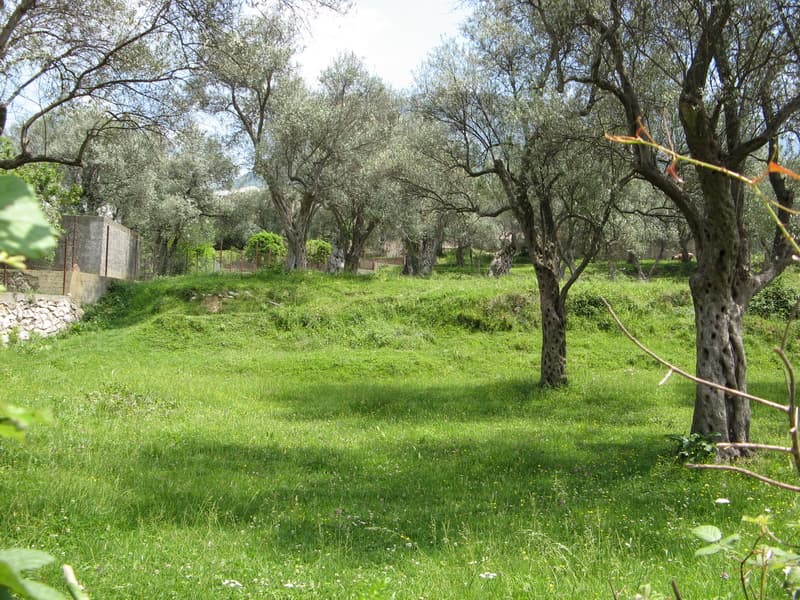 Земельный участок в Баре №621