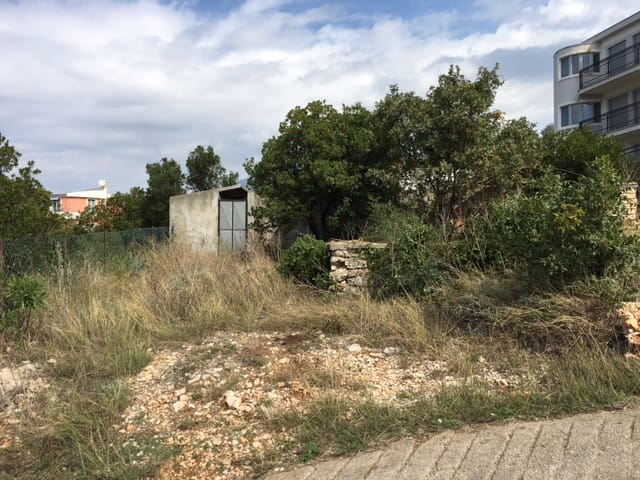 Земельный участок под застройку в Утехе, Черногория: вид на территорию с деревьями и хозяйственной постройкой.