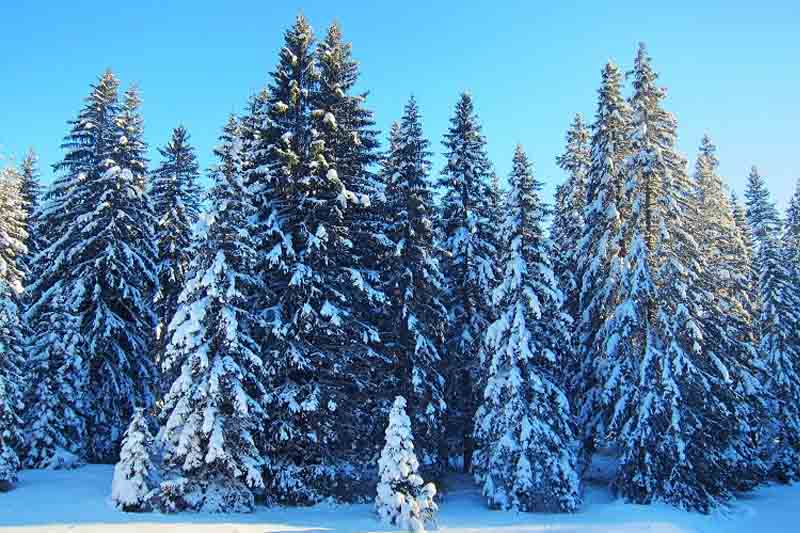 In Montenegro wurde ein historisches Temperaturminimum registriert