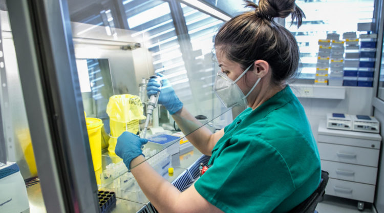 Montenegro auf halbem Weg zum Ende der Epidemie