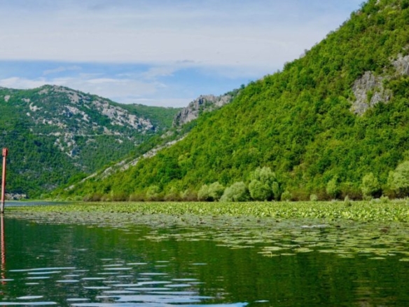 Jezioro Szkoderskie: kiedy jechać i co robić