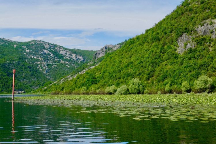 Skutarisee: Wann man reisen und was man unternehmen kann
