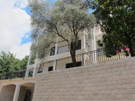 Villa blanche à Budva, Monténégro : façade avec balcons en fer forgé, mur de soutènement en pierre et olivier.