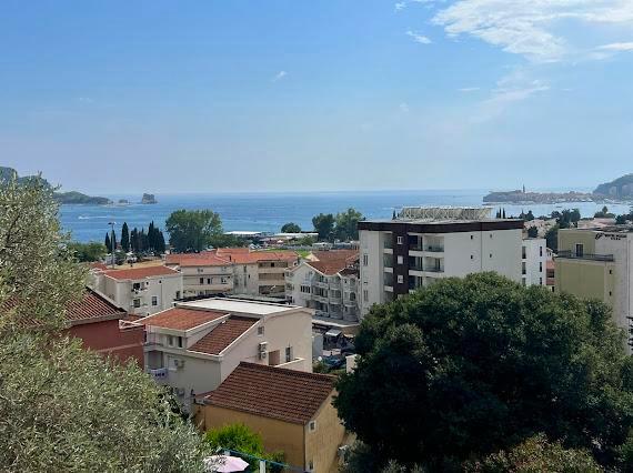 Panoramablick auf das Meer und die Stadt Budva, Montenegro, von der Terrasse der Villa, umgeben von Grün und Olivenbäumen.