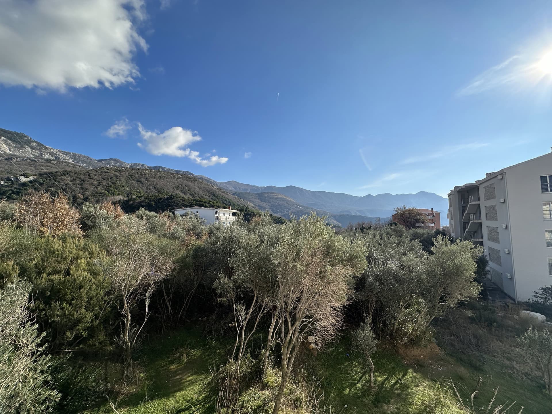 Blick aus dem Fenster der Wohnung in Bečići, Montenegro: Olivenhain, Berglandschaft und moderne Wohnbebauung.