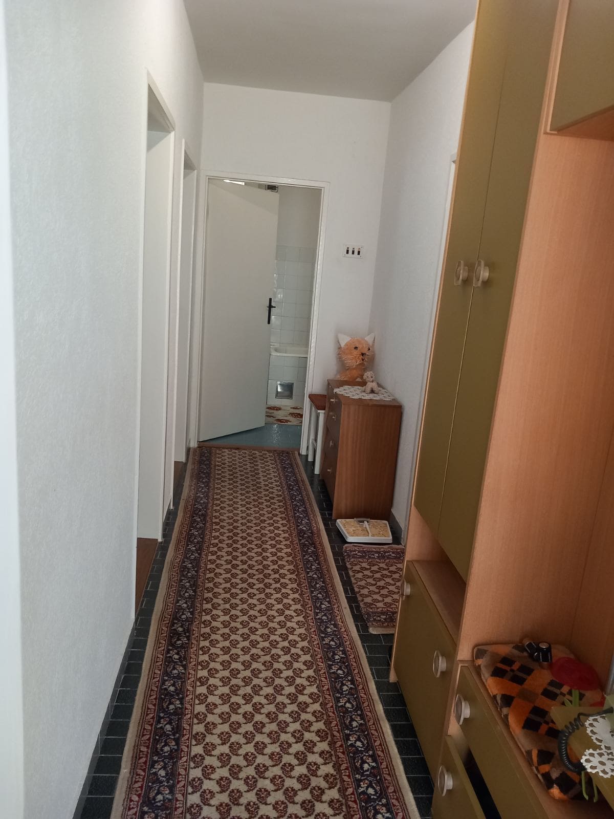 Bright hallway with a carpet runner and furniture in a house for sale in Igalo, Montenegro, view of the bathroom.