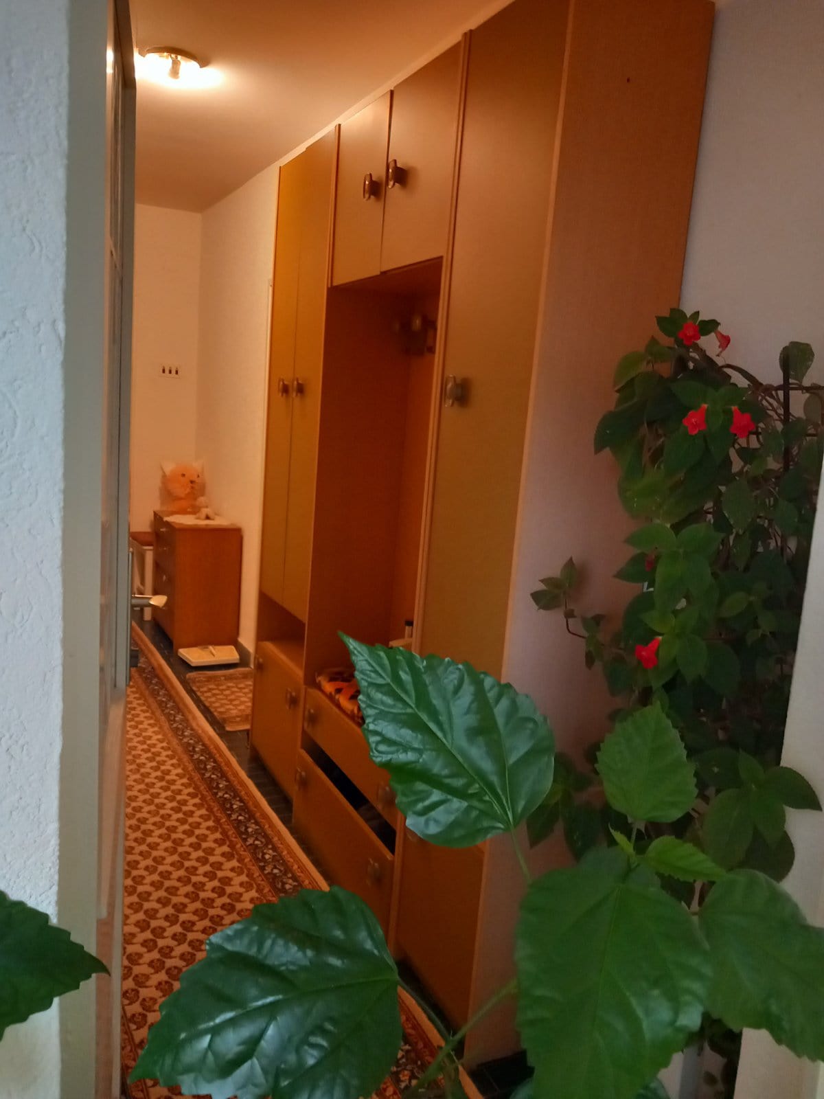 Hallway with a wooden wardrobe and runner rug in a house for sale, Igalo, Montenegro.
