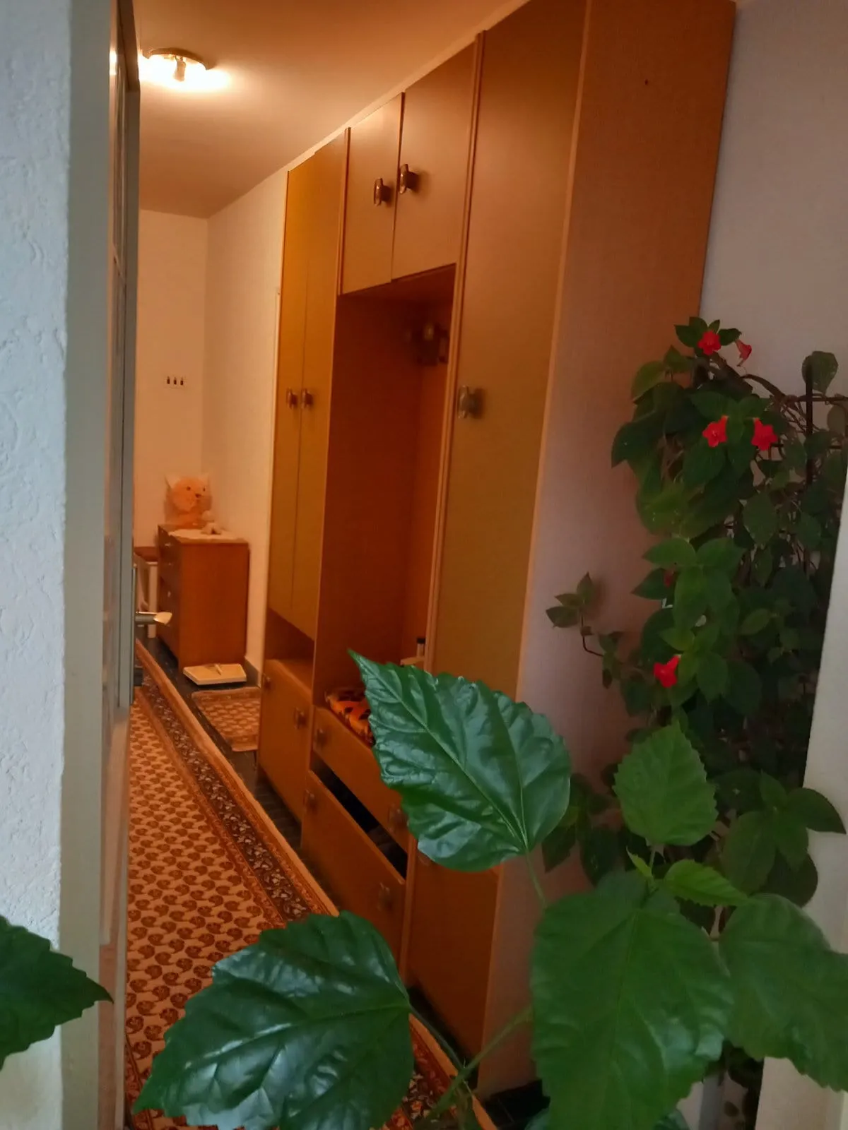 Flur mit Holzschrank und Läufer in einem Haus zum Verkauf, Igalo, Montenegro.