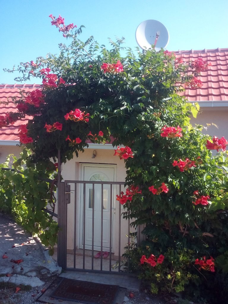 Haus in Krašići Nr. 2119