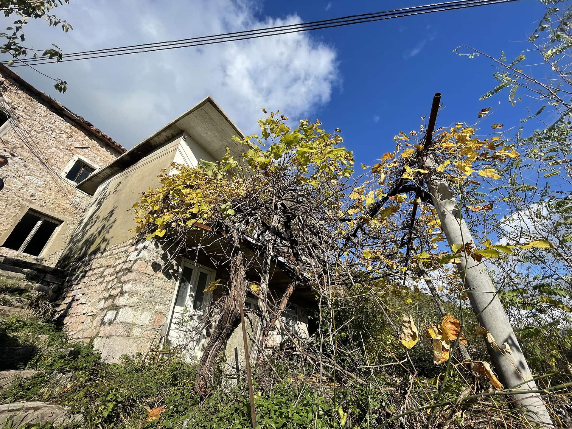 Ancienne maison en pierre avec vignoble sur le terrain à Kamenari, Monténégro, vue sur la façade et les abords de la maison.