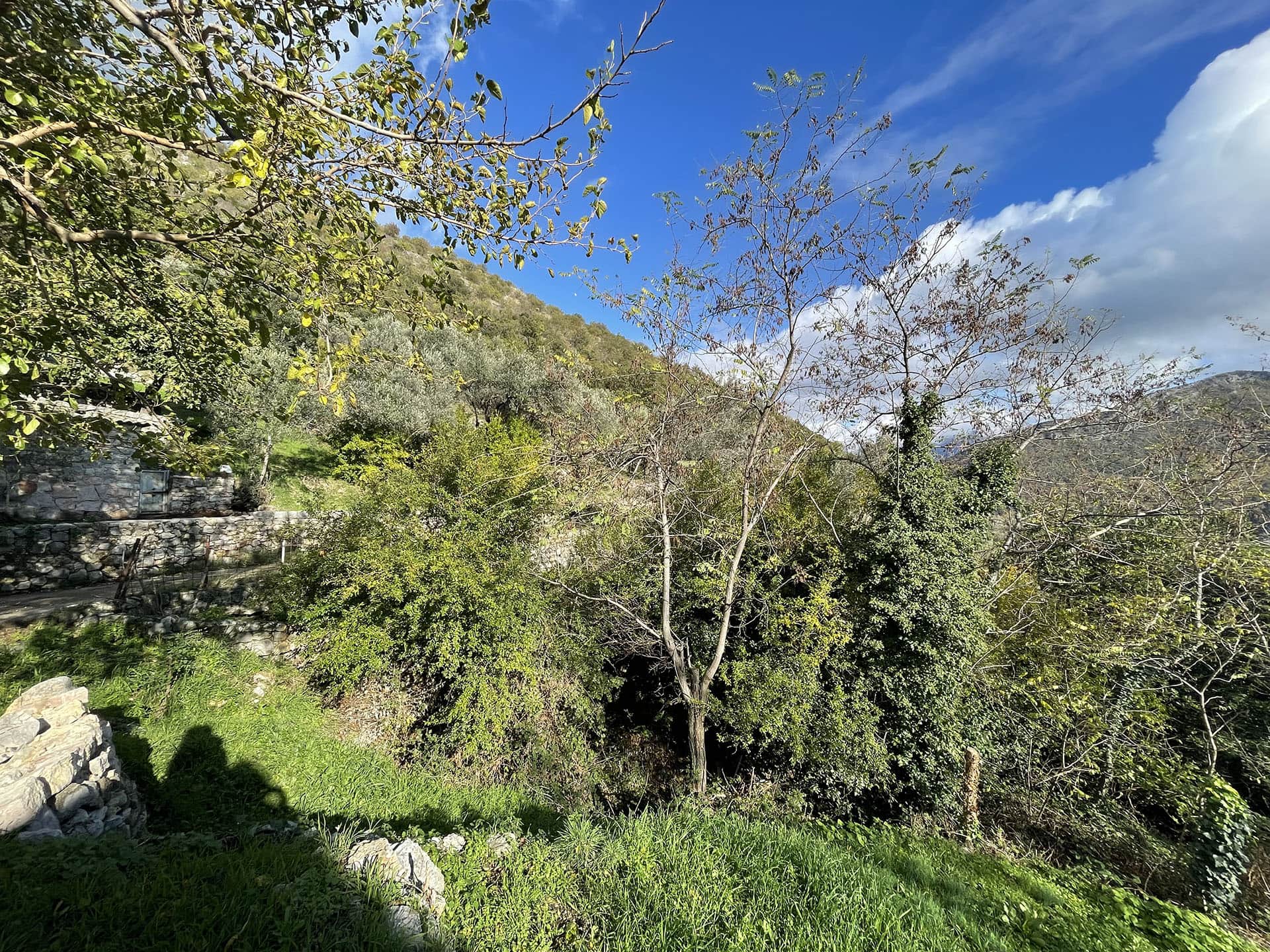 Terrain à Kamenari, Monténégro : vue sur le versant verdoyant de la montagne, des terrasses en pierre et des arbres sur le terrain.
