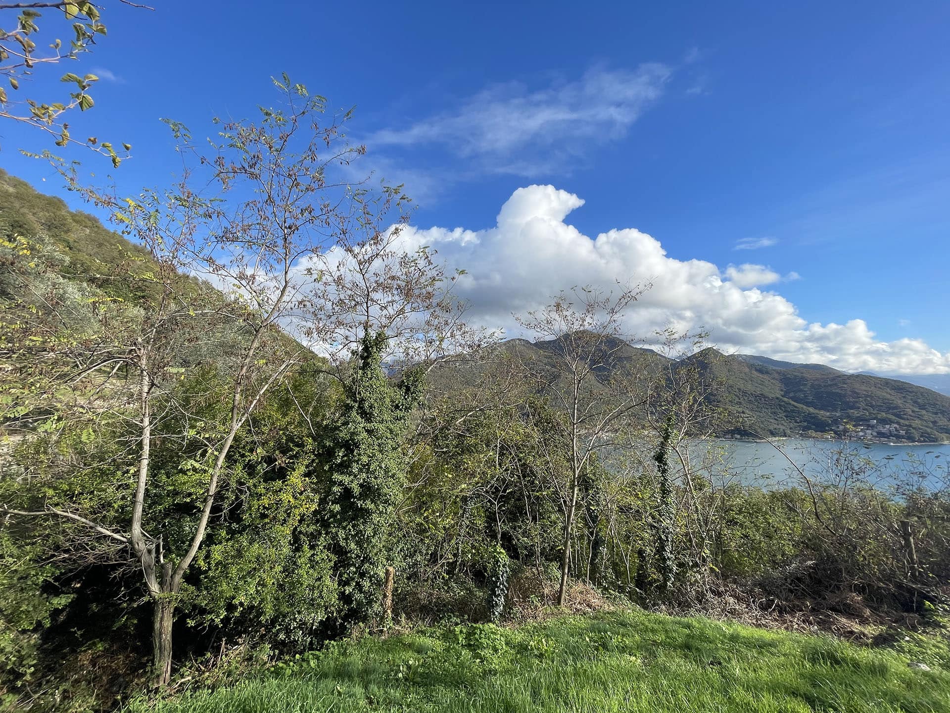 Vue panoramique sur la mer et les montagnes depuis un terrain à Kamenari, Monténégro : pente verdoyante et paysage naturel.