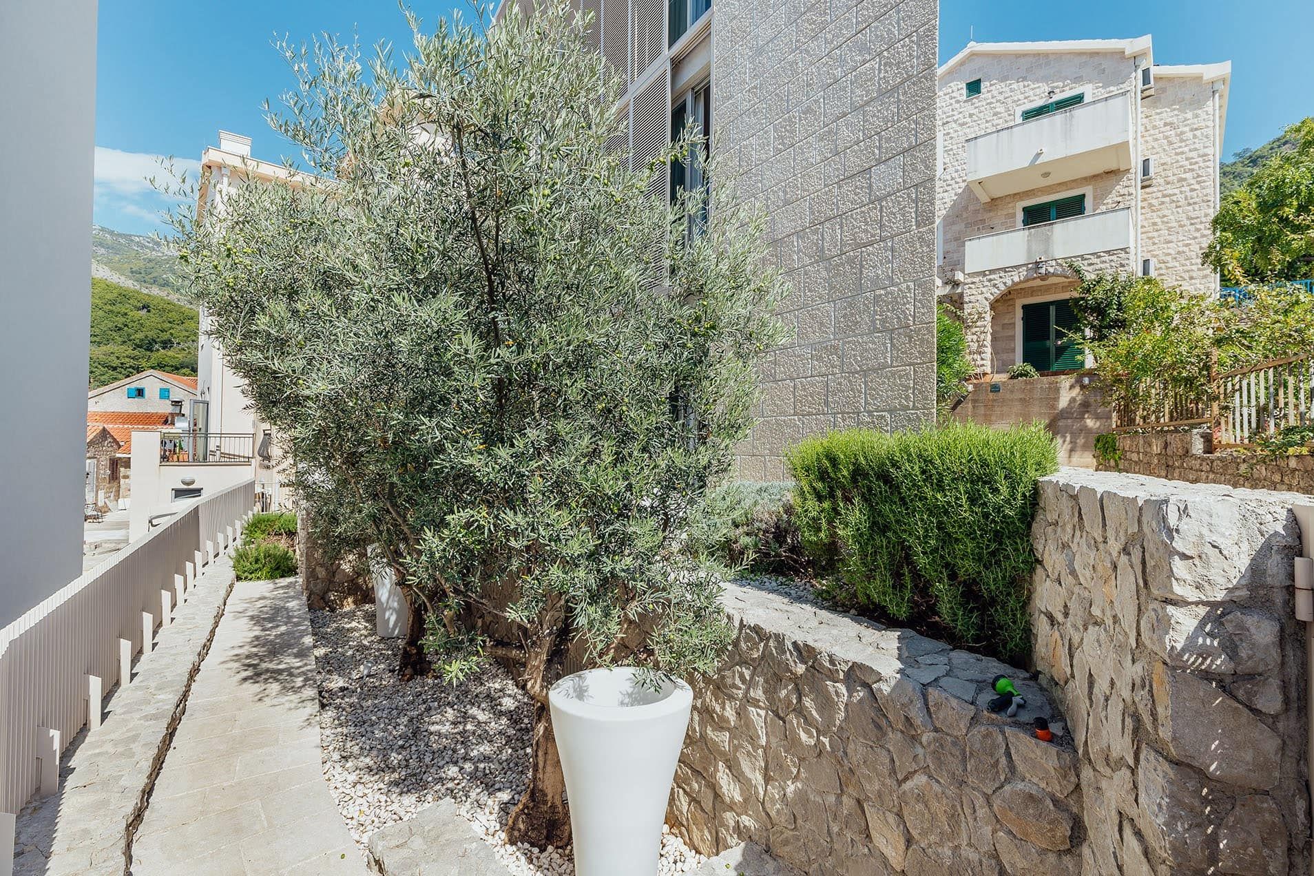 Villa courtyard in Pržno, Montenegro: olive tree, stone facade finish, and landscape design.