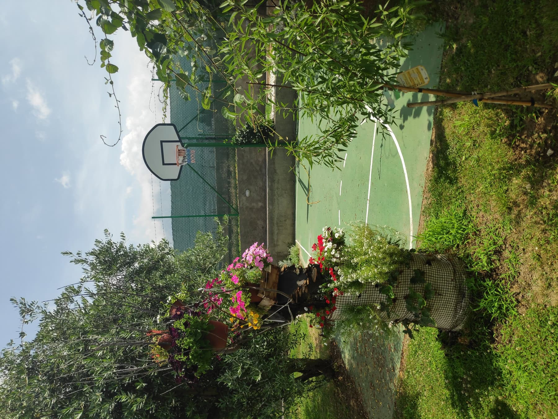 Karadağ, Bar’daki evin avlusunda özel basketbol sahası, çiçek açan çiçek tarhları ve yeşil zeminle.