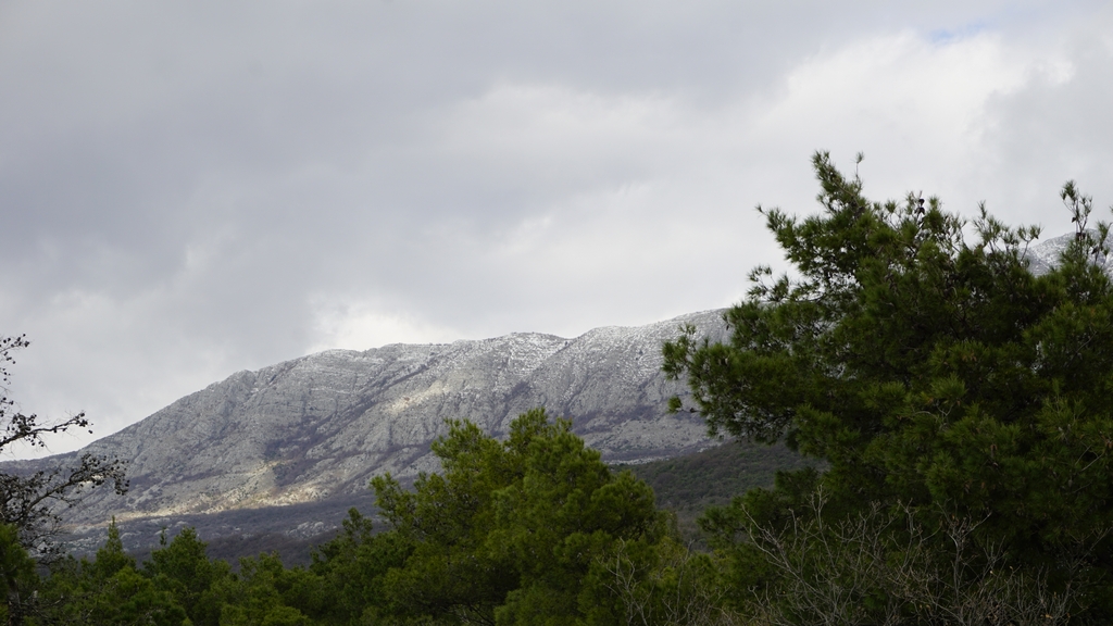 Vue pittoresque sur des montagnes enneigées et une forêt de conifères depuis une villa à Igalo, Herceg Novi, Monténégro.