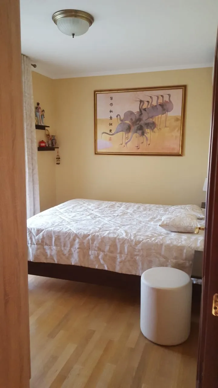 Cozy bedroom with a double bed in a house in Shushan, Montenegro: light walls, a painting, and wooden flooring.