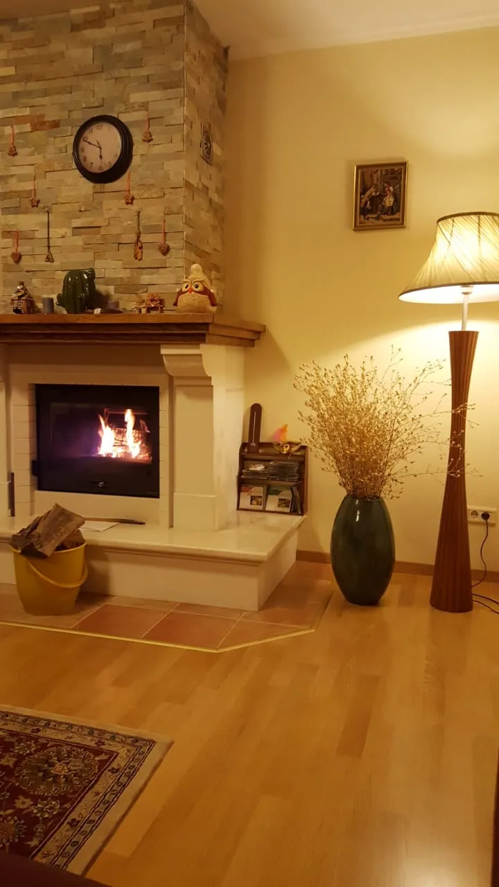 Cozy living room with a fireplace, stone finishes, and a floor lamp in a house for sale in Shushan, Montenegro.