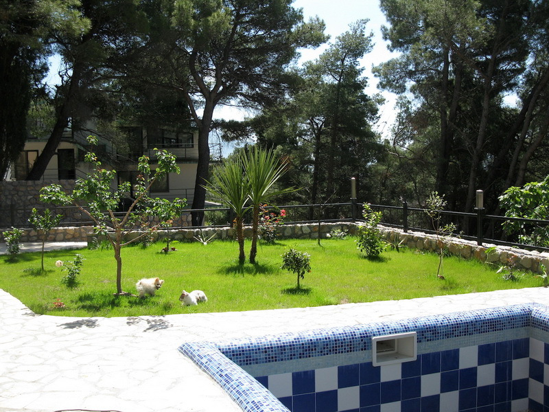 Piscine privée et jardin verdoyant dans une villa à Shushan, Monténégro : vue sur un terrain aménagé avec des conifères.