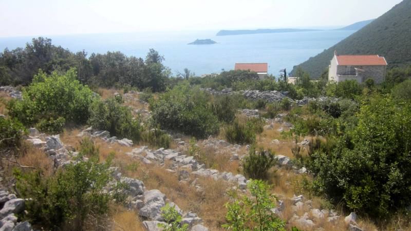 Land plot in Žanjice, Montenegro: panoramic view of the sea, island, and stone houses among Mediterranean greenery.