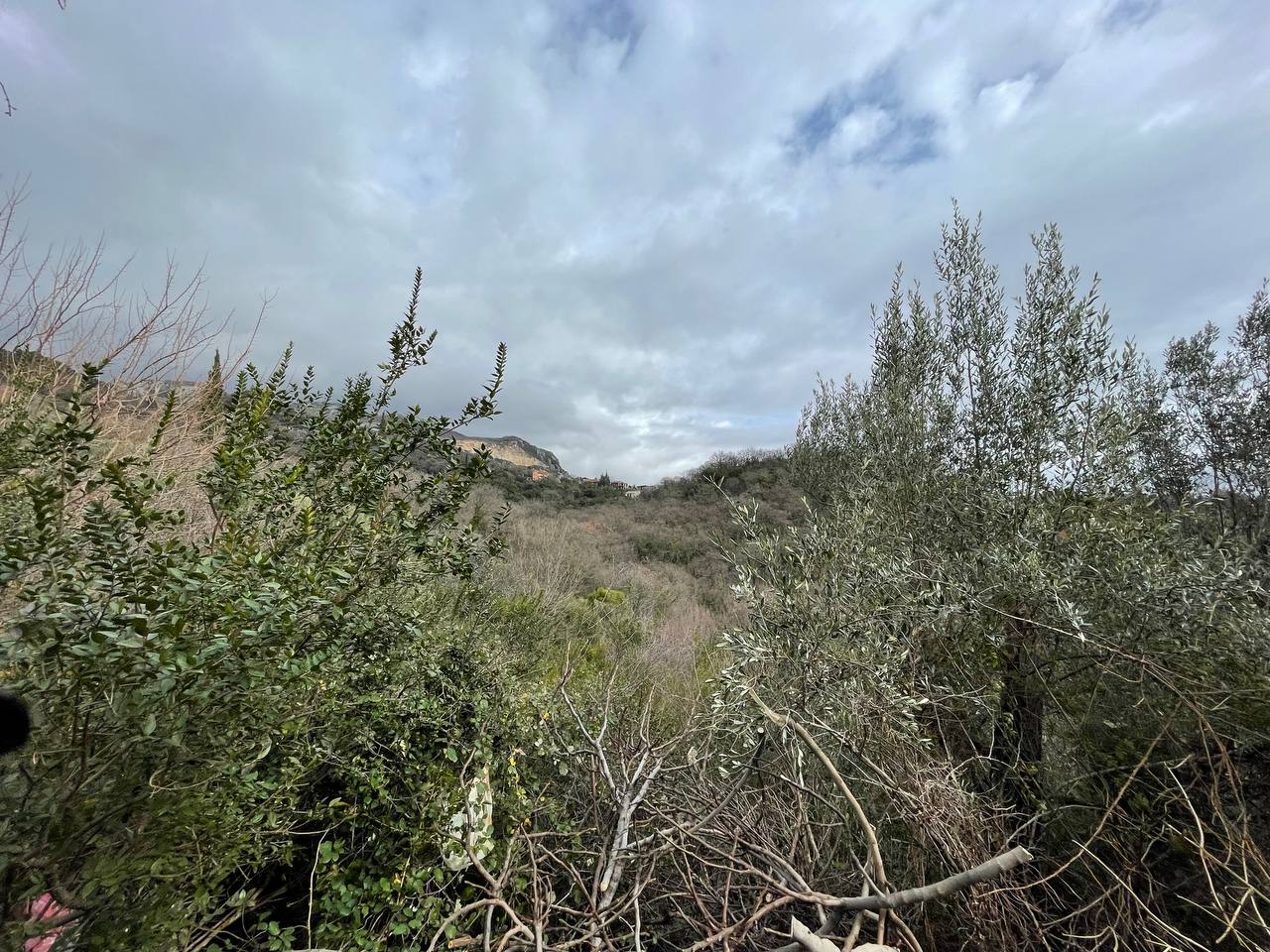 Eine weite Außenaufnahme einer hügeligen Landschaft mit wildem Grün und einem wolkigen Himmel.