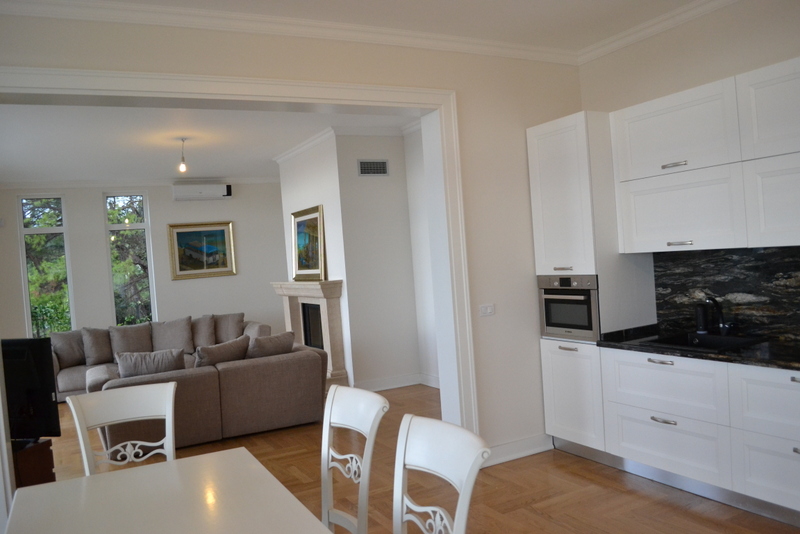 Modern kitchen-living room with white cabinetry and a fireplace in a house in Shushan, Montenegro. Parquet flooring and a view of greenery.