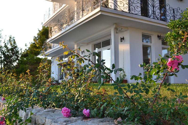 Haus in Šušanj Nr. 1517