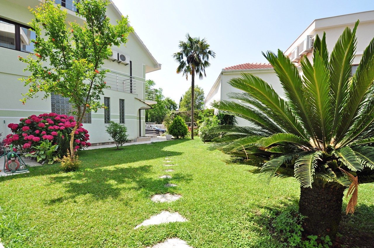 Gepflegter Garten mit Palme und blühenden Hortensien am Privathaus in Tivat, Montenegro, Blick auf das Grundstück.