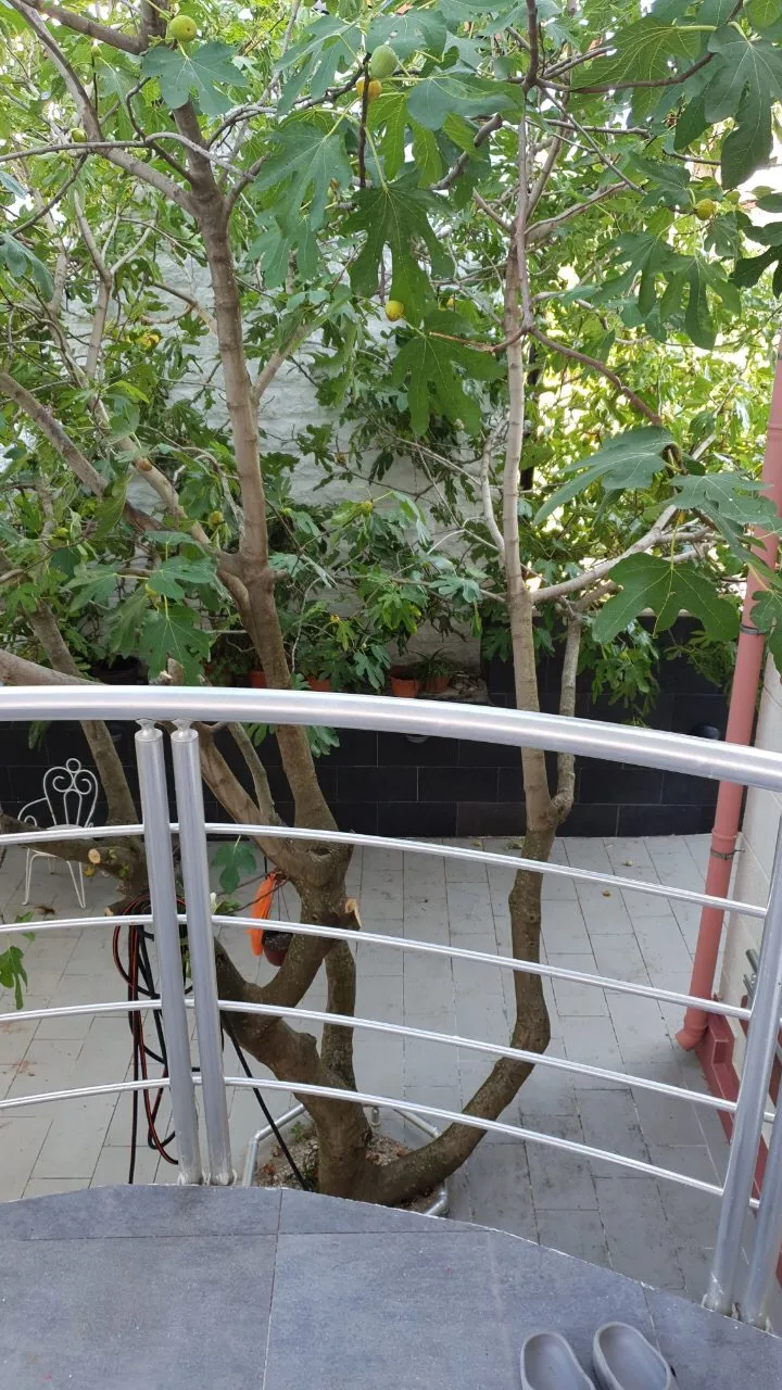 Ein Balkon mit einem Metallgeländer mit Blick auf einen Innenhof mit einem Baum.